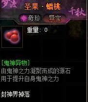 image_005_cleaned.webp